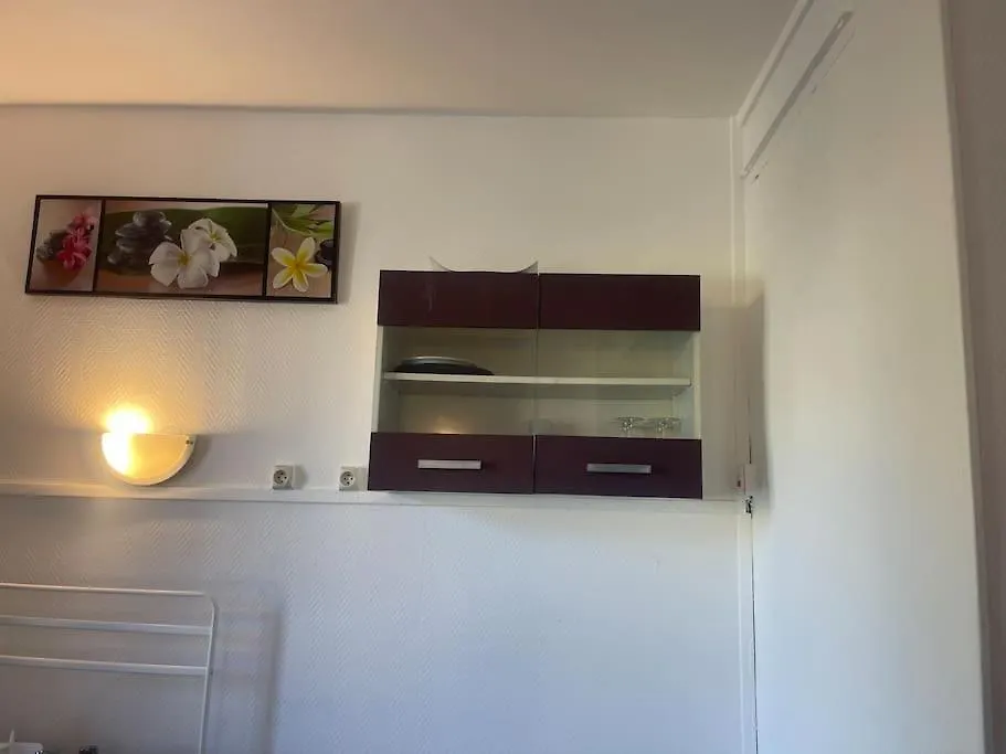Appartement Croix Rousse 69004 location